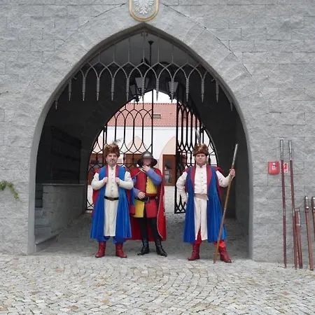 Ξενοδοχείο με διαμερίσματα Zamek 3*